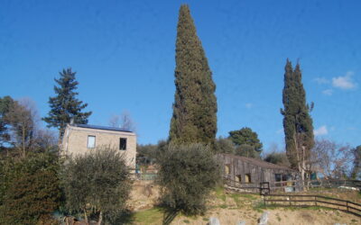 Pensieri sull’autosufficienza