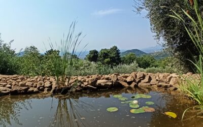 Un luogo dove (r)esistere