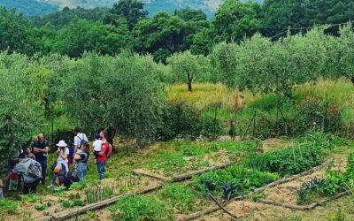 Visita e laboratori per tutta la famiglia…!!!
