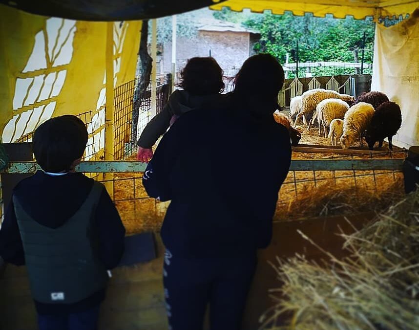 Visita guidata e attività per tutta la famiglia..!!!