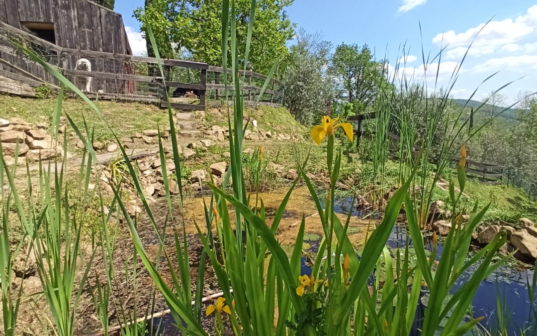 Custode o custodito?